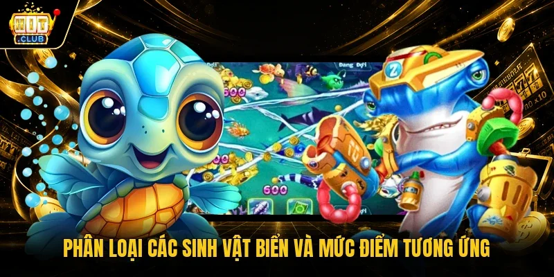 Phân loại các sinh vật biển và mức điểm tương ứng